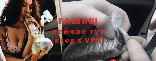 прущие грибы Алзамай